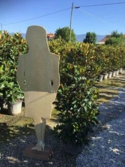 Beverboom (Magnolia Grandiflora 'Little Gem') -Planten Verkoopwinkel magnola little gem 125 150 c25 2