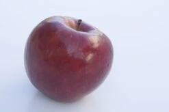 Lei-Appel (Malus Domestica 'Braeburn')